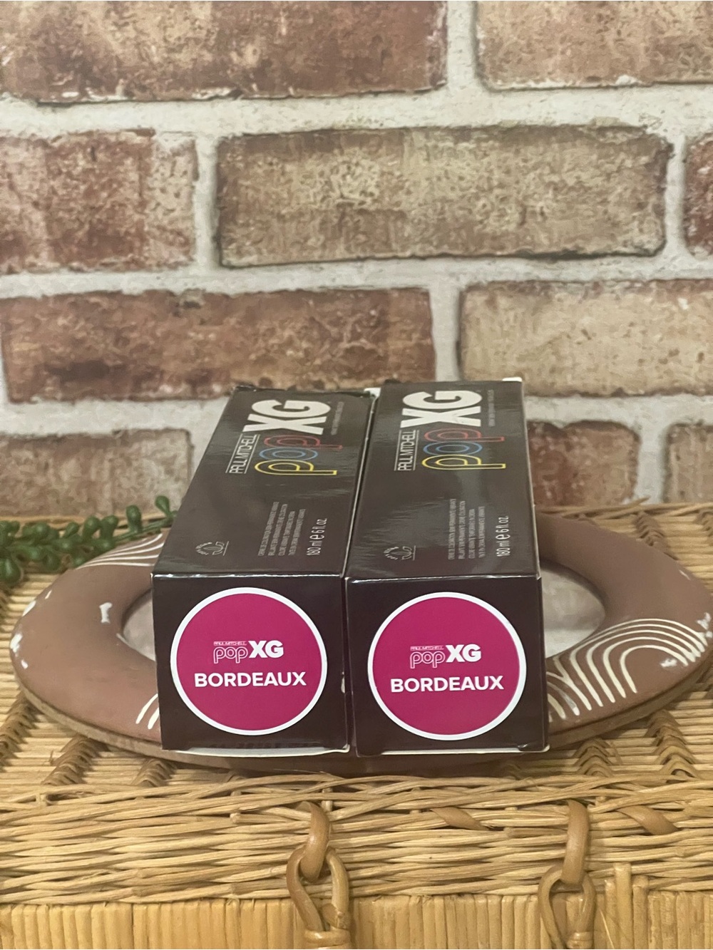 Paul Mitchell Pop XG Bordeaux Hair Color